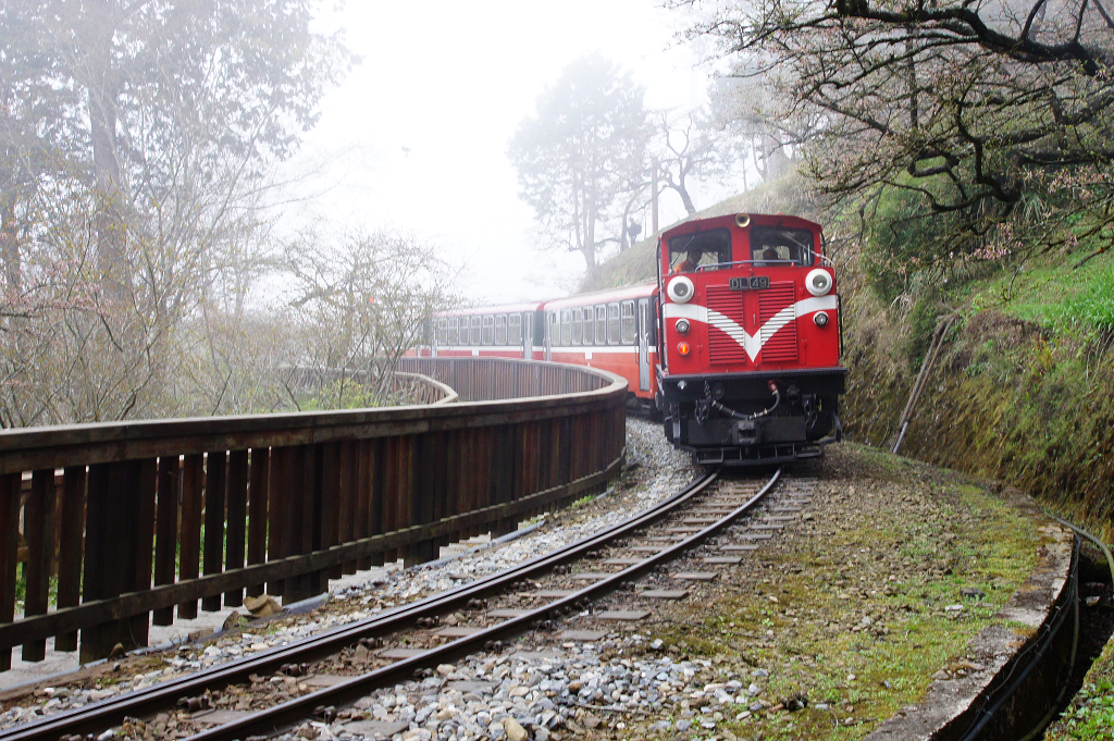 Alishan National Scenic Area, Chiayi
