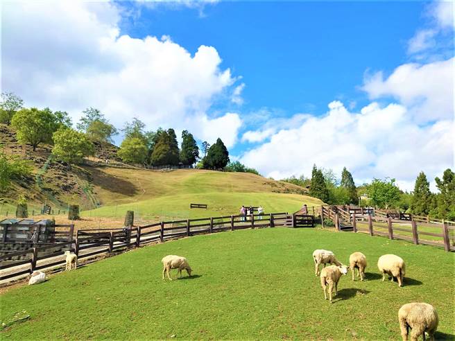 Discover the Enchanting of Cingjing Farm, Taichung