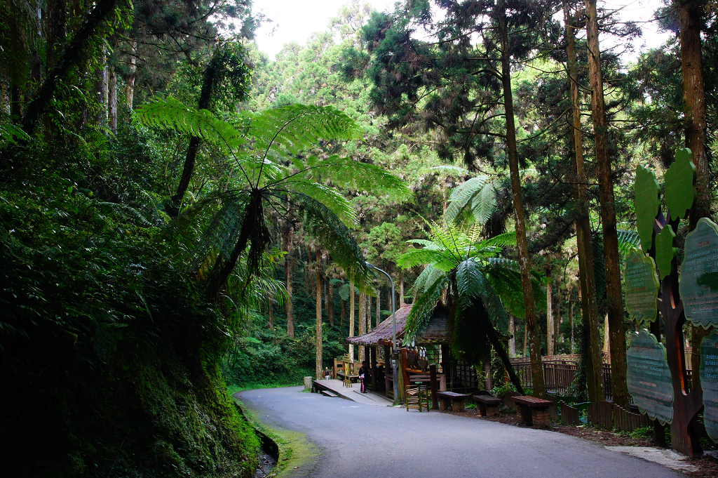 Xitou Forest Recreation Area, Nantou