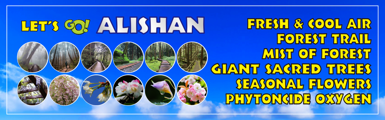 Let's go Alishan